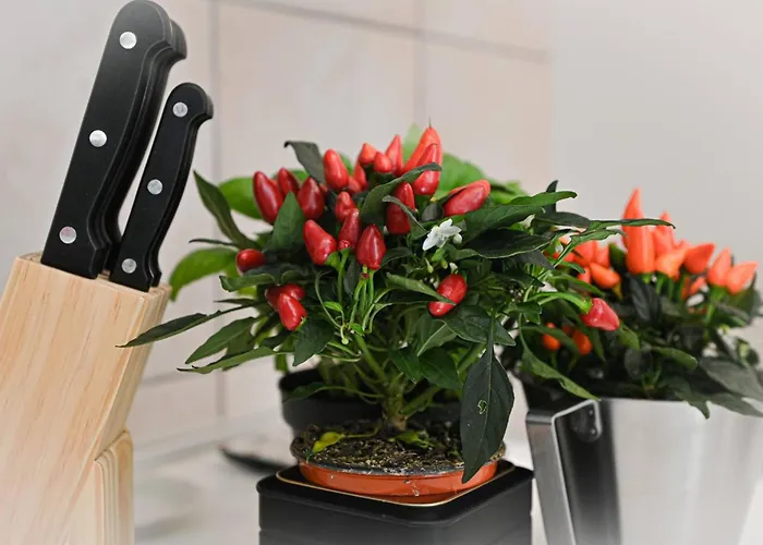 One Only View In Διαμέρισμα