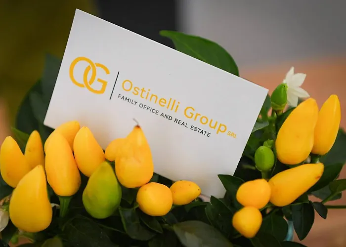 One Only View In Όπως